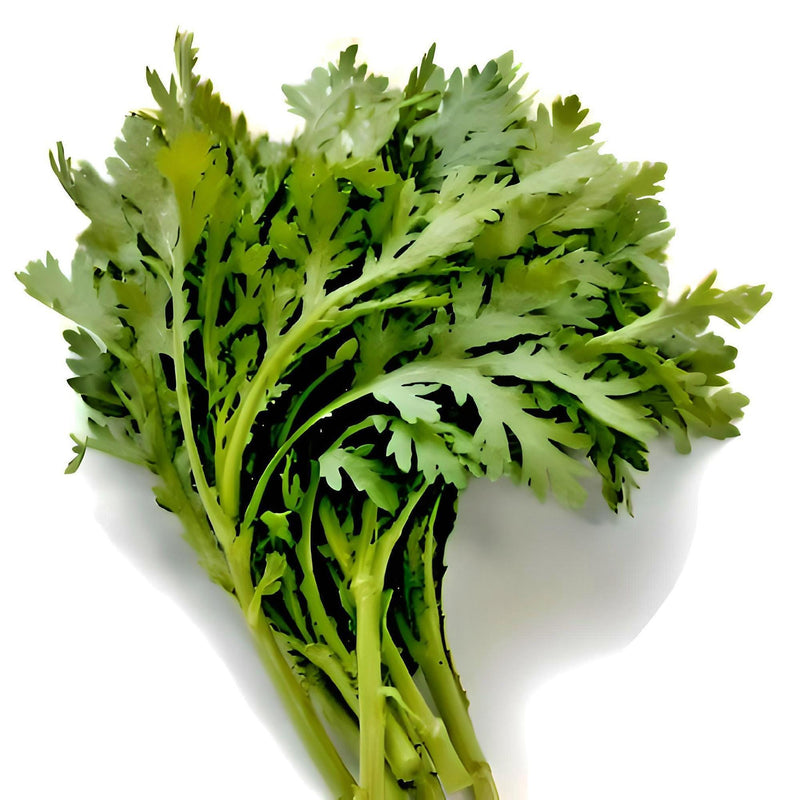 Chop Suey Greens - Heirloom Asian Edible Greens | Non GMO Seeds for Winter Growing