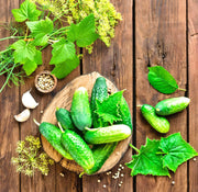 Bushy Cucumber Seeds – Early Pickling Variety for Small Gardens | Compact Plants