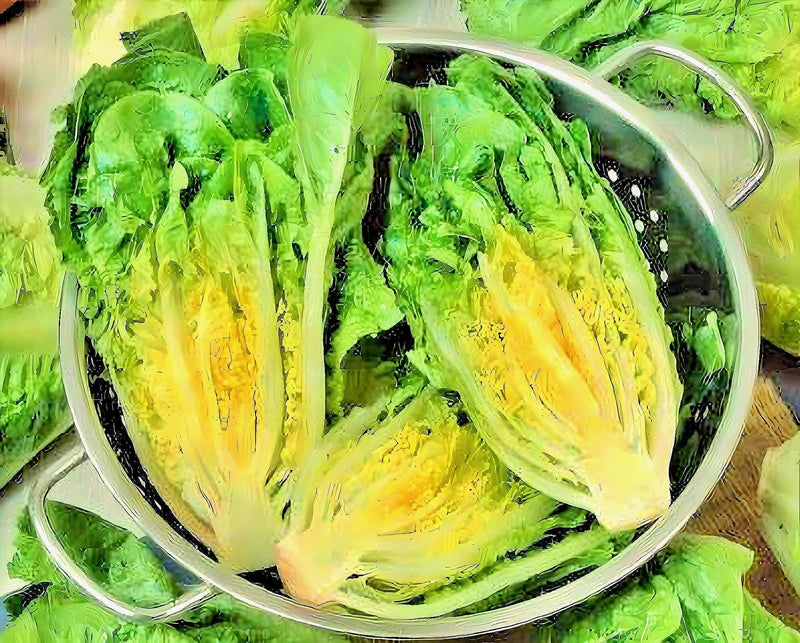 Little Caesar Romaine Lettuce - Organic Heirloom Seeds | Crisp Leafy Greens