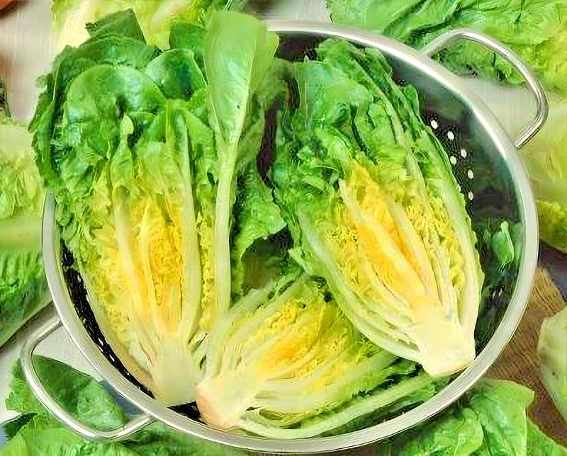 Little Caesar Romaine Lettuce - Organic Heirloom Seeds | Crisp Leafy Greens