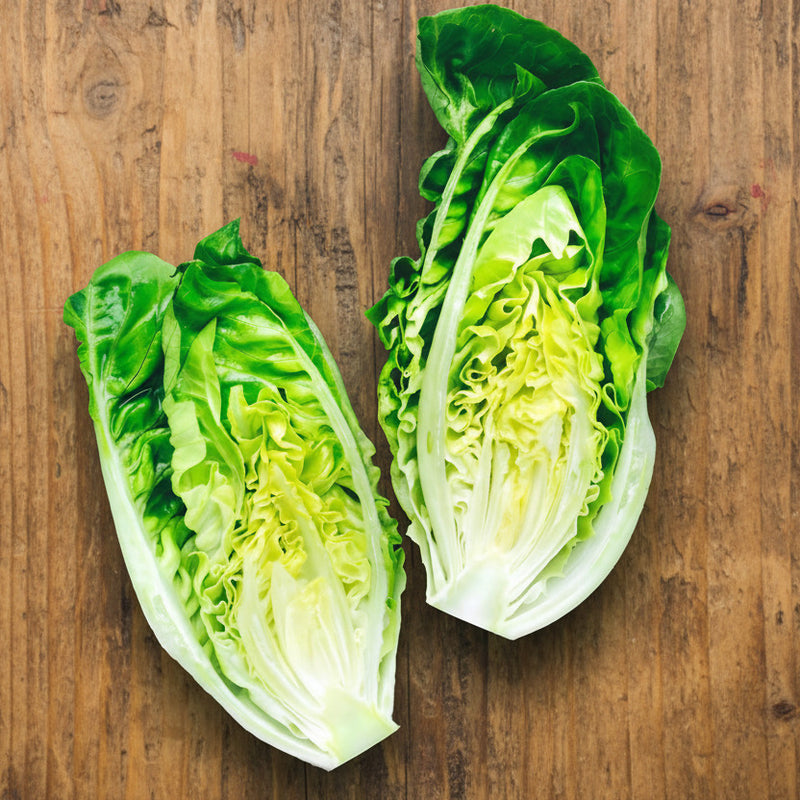Little Caesar Romaine Lettuce - Organic Heirloom Seeds | Crisp Leafy Greens