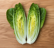 Little Caesar Romaine Lettuce - Organic Heirloom Seeds | Crisp Leafy Greens
