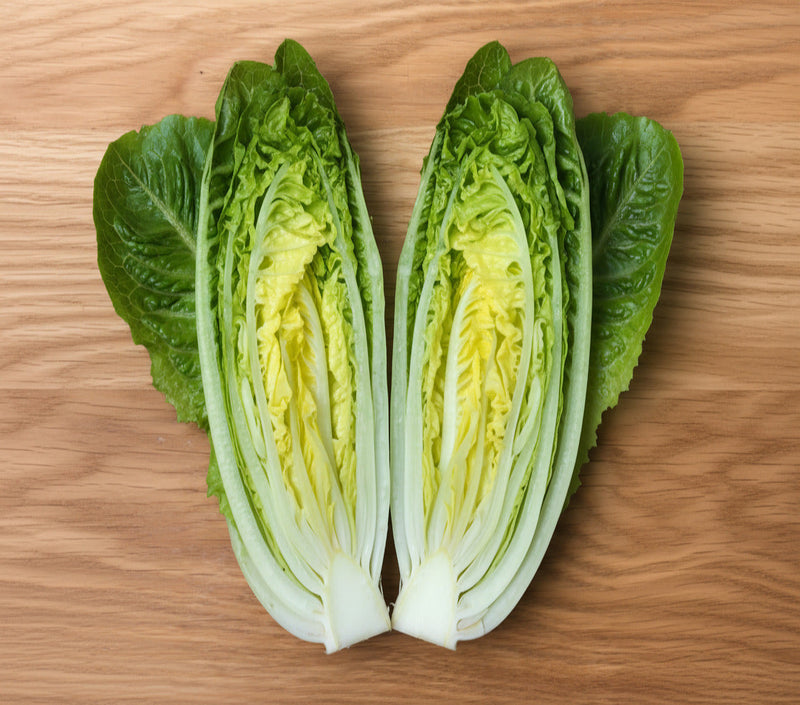 Little Caesar Romaine Lettuce - Organic Heirloom Seeds | Crisp Leafy Greens