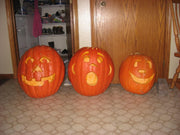 Big Max Pumpkin Seeds - Giant Heirloom Variety for Carving & Pie