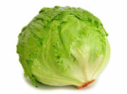 Iceberg Crisphead Lettuce - Heirloom Non GMO Seeds for Fresh Garden Crunch