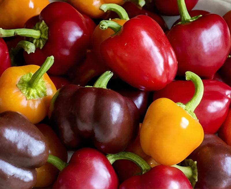 Mini Sweet Bell Peppers