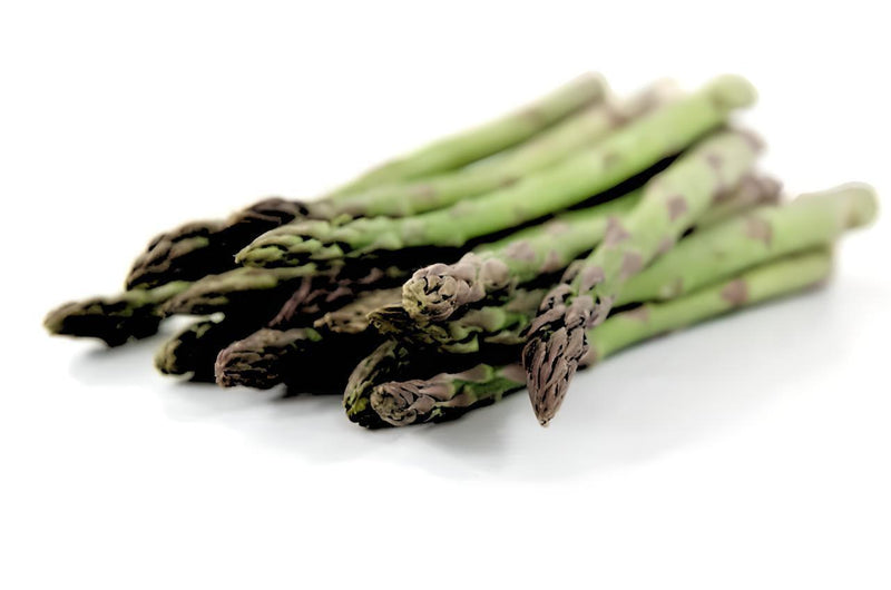 Mary Washington Asparagus Heirloom Garden Seeds - Rust Tolerant, Sweet Tender Shoots