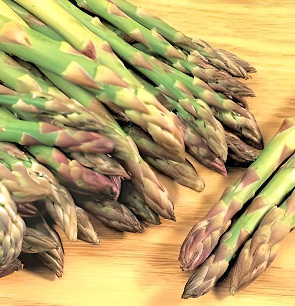 Mary Washington Asparagus Heirloom Garden Seeds - Rust Tolerant, Sweet Tender Shoots