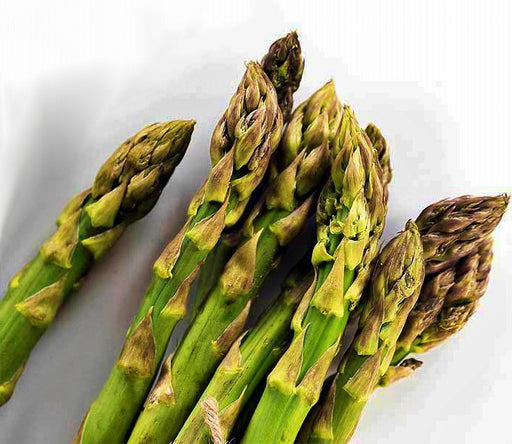 UC 72 Asparagus Seeds – Drought Tolerant, Fusarium Wilt Resistant Vegetable Seeds