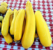 A red and white checkered tablecloth with several yellow squash and lemons arranged on it.