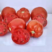Saucy Lady Tomato