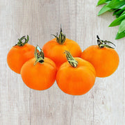 Sweet Orange Cherry Tomato
