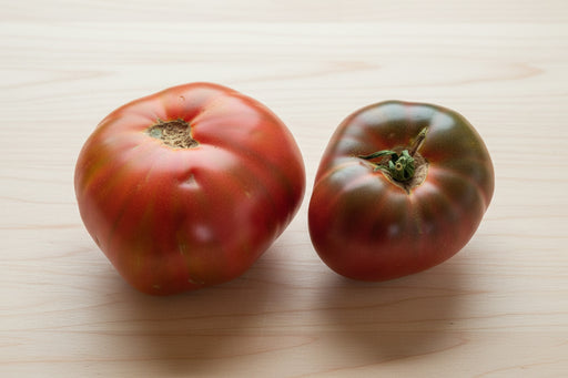 Paul Robeson Tomato
