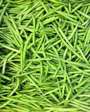 French Garden Bush Beans – Heirloom Non GMO Seeds | Tender Green Beans