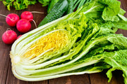 Kogane Chinese Cabbage Seeds - Loosehead Variety with Golden Core for Pickling & Cooking