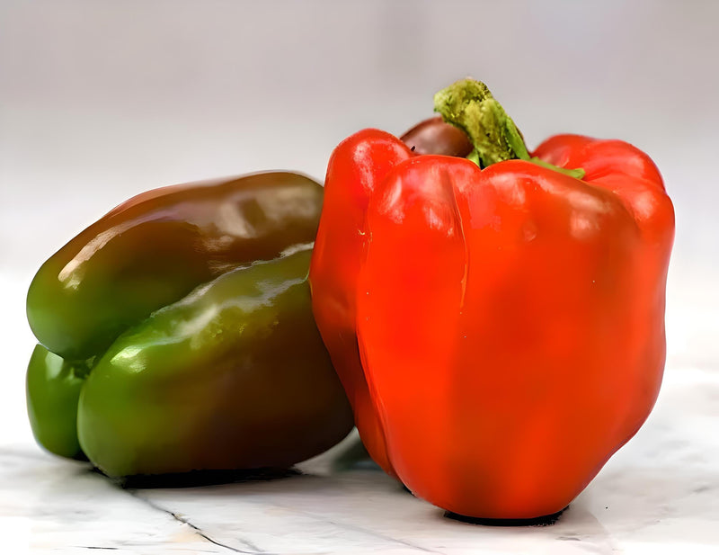 Sweet Bell Pepper King of the North - Large Red Blocky Heirloom Seeds