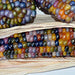 Glass Gem, Cherokee Popcorn, - BoxGardenSeedsLLC -Corn - Seeds