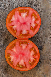 Gill's All Purpose Tomato