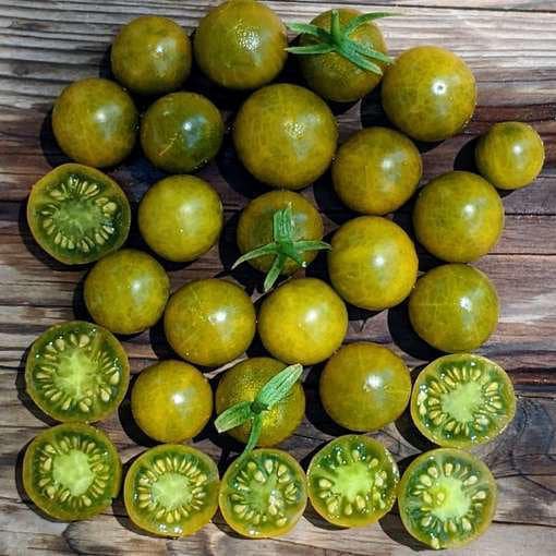 Pocket Star Cherry Tomato