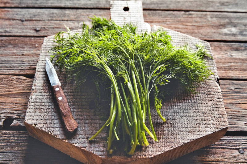 Grama Enick's Dill Seeds - Heirloom Culinary & Medicinal Herb Packet | Non GMO