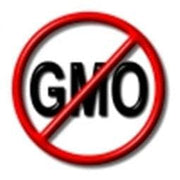 a red circle with a diagonal line through it, and the letters "GMO" inside the circle.