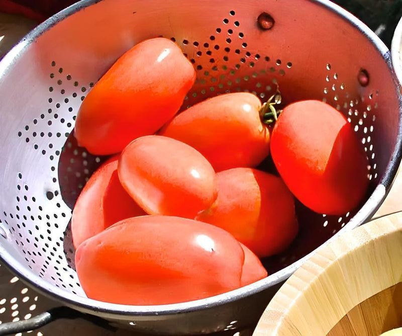 Roma Paste Tomato