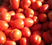 Roma Paste Tomato