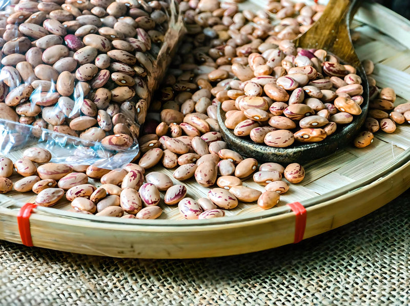 Pinto Dry Bush Beans - Heirloom Garden Seeds | Organic Vegetable Seeds