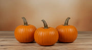 Sugar Pie Pumpkin