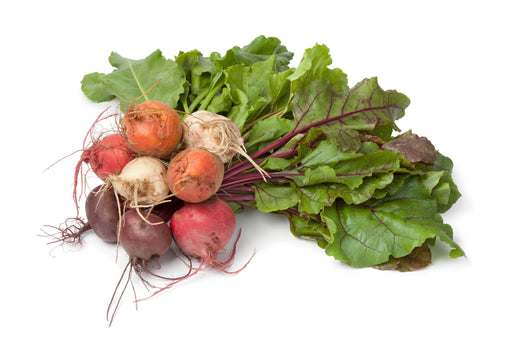 Detroit Beet Seeds - Heirloom Vegetable Seed Collection | Golden & White Varieties