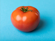 Early Wonder Tomato