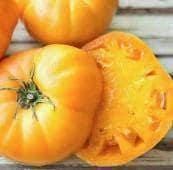 Golden Queen Tomato