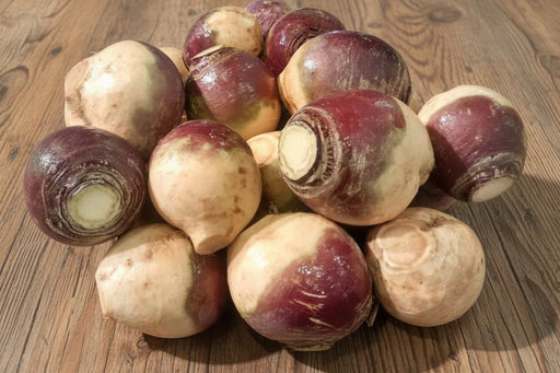 American Purple Top Rutabaga | Heirloom Vegetable Seeds for Fall & Winter Storage