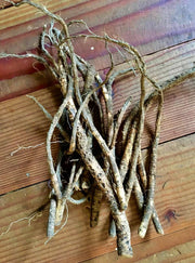 Elecampane Herb Seeds – Heirloom Perennial Medicinal & Culinary Plant