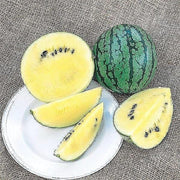Cream of Saskatchewan Watermelon – Heirloom Seeds | Sweet Yellow Flesh Melon