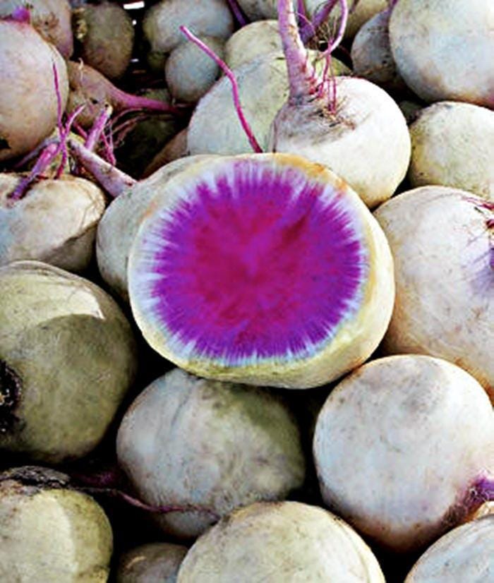 Watermelon Red Meat Radish - Heirloom Non-GMO Vegetable Garden Seeds, Crisp Sweet Roots