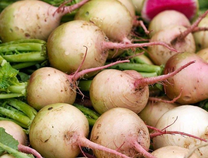 Watermelon Red Meat Radish - Heirloom Non-GMO Vegetable Garden Seeds, Crisp Sweet Roots