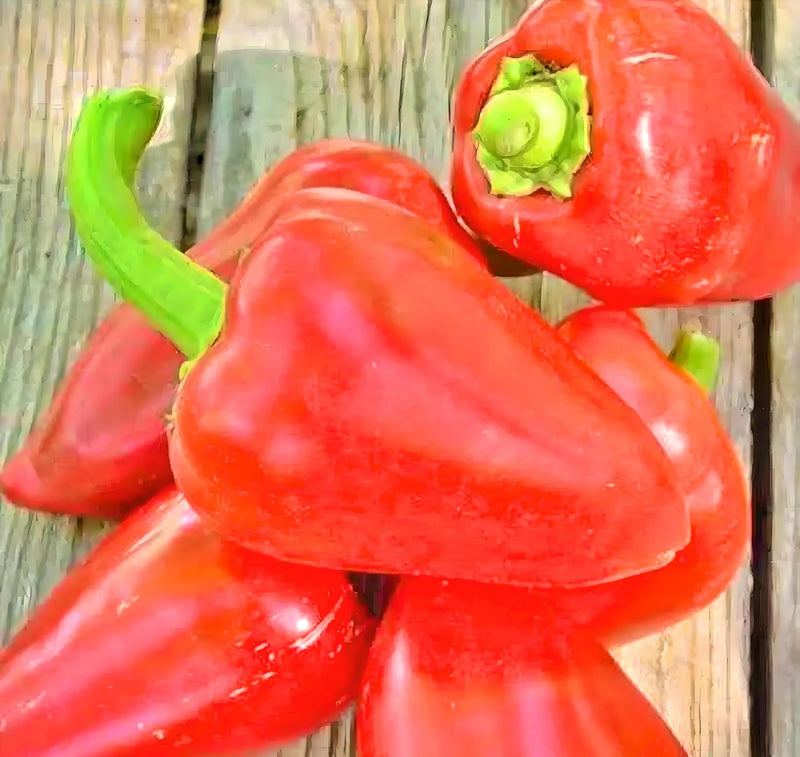 Pimento Sweet Pepper Heirloom Seeds – Heart Shaped, Open Pollinated, Non GMO