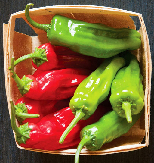 Shishito Hot Pepper - Heirloom Pepper Seeds for Easy Container Gardening