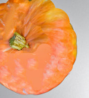 Lower Salmon River Squash – Heirloom Winter Squash Seeds | Drought Tolerant, Early Maturing