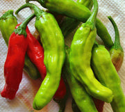 Shishito Hot Pepper - Heirloom Pepper Seeds for Easy Container Gardening
