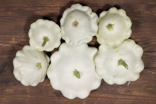 Early White Bush Scallop - Heirloom Summer Squash Seeds | Non GMO, Easy to Grow