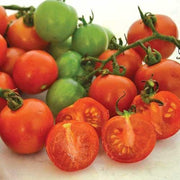 Heirloom Cherry Tomatoes
