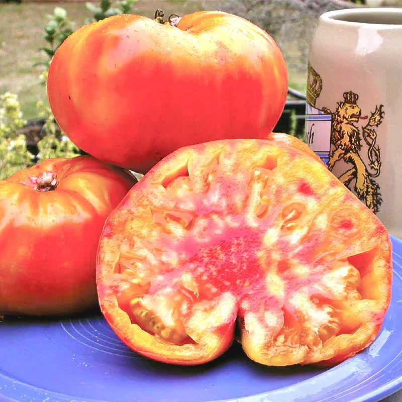 Old German Tomato