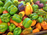 Sweet Bell Pepper Seeds – Gourmet Rainbow Pepper Mix | Heirloom, Non GMO, USA Grown