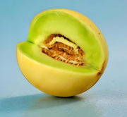 Green Flesh Honeydew Melon Seeds – Heirloom, Non GMO, Sweet Garden Variety