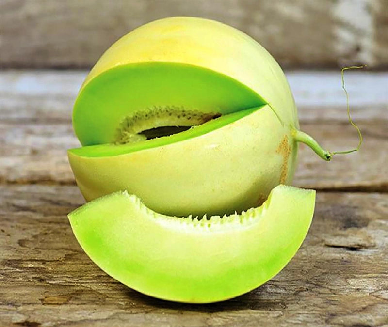 Green Flesh Honeydew Melon Seeds – Heirloom, Non GMO, Sweet Garden Variety