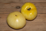 Great White Tomato