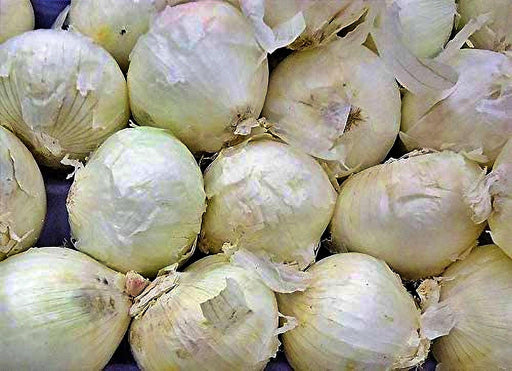White Sweet Spanish Onion Heirloom Seeds | Large Mild Tasting Onions for Planting