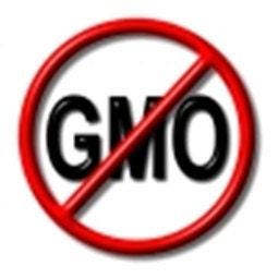 a red circle with a diagonal line through it, and the letters "GMO" inside the circle.